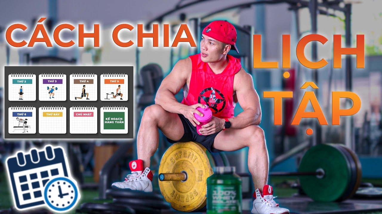 Lịch tập gym hiệu quả phù hợp cho từng đối tượng/ Lịch tập gym cho người mới