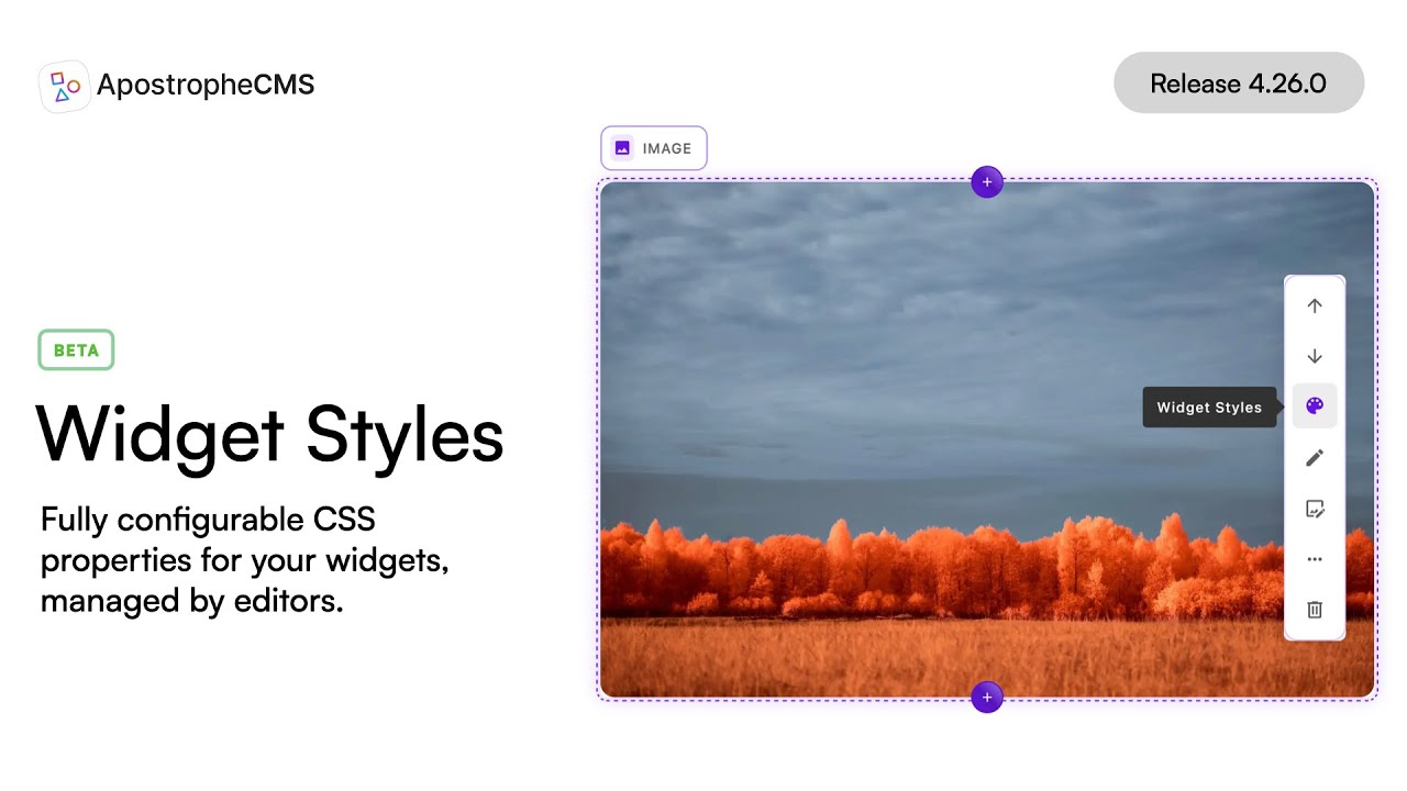 ApostropheCMS 4.26.0: Widget Styles