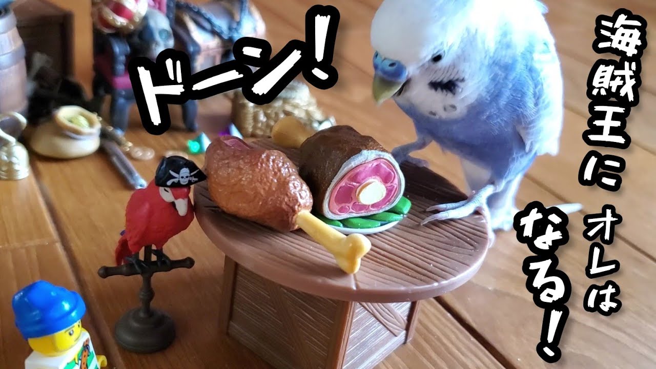 【PARAKEET & PIRATES】セキセイインコとミニチュアで遊ぶ