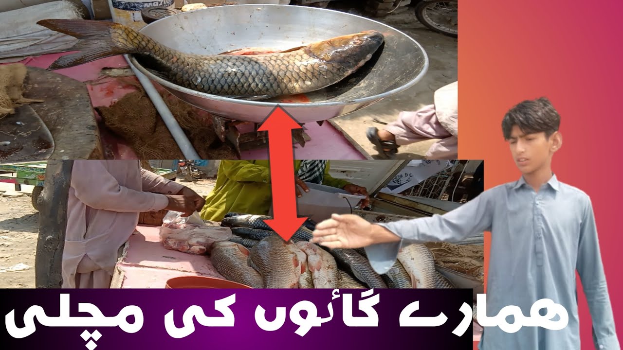 mustafa vlog,! vlogs pakaistani,! vlog for all,! my vlog video #my_vlog_on_youtube