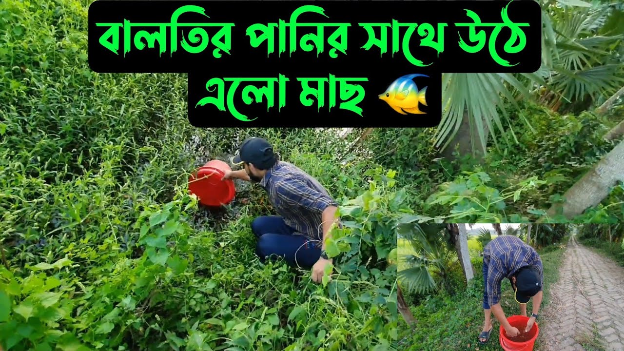 ক্ষেতে পানি দিতে গিয়ে,,,বালতি তে উঠে এলো মাছ 🐟🦐