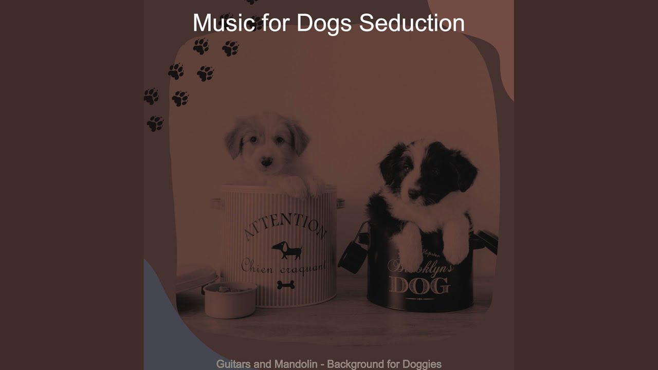 Vintage Music for Relaxing Dogs
