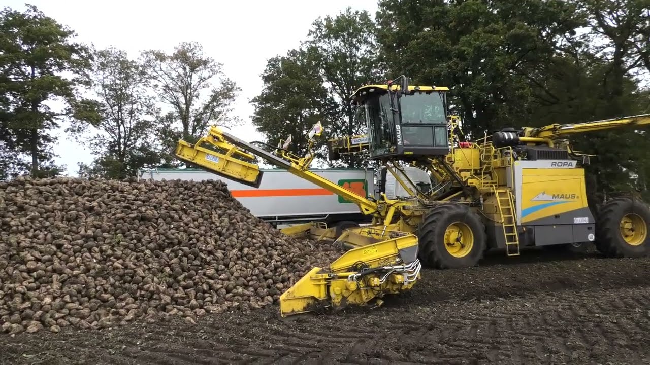 ROPA MAUS 6 SUIKERBIETEN LADEN LOONBEDRIJF ELLEN