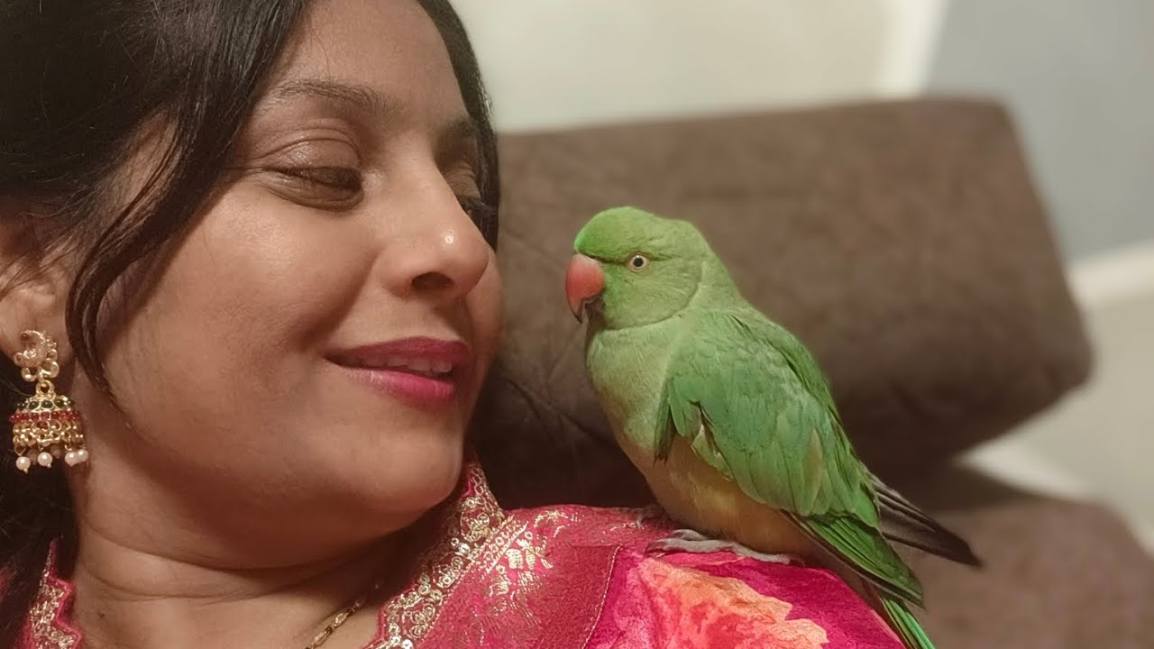 Dekhiye mera pyari mittu kase nahane ke bad sundar lag raha hai 🥰🦜#like #parrot #viral #subscribe 🦜🥰
