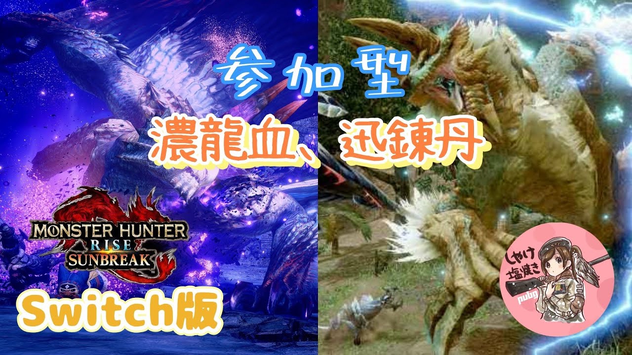 【MHR:S】濃龍血、迅錬丹集め！装備構築の相談歓迎【参加型】 #86