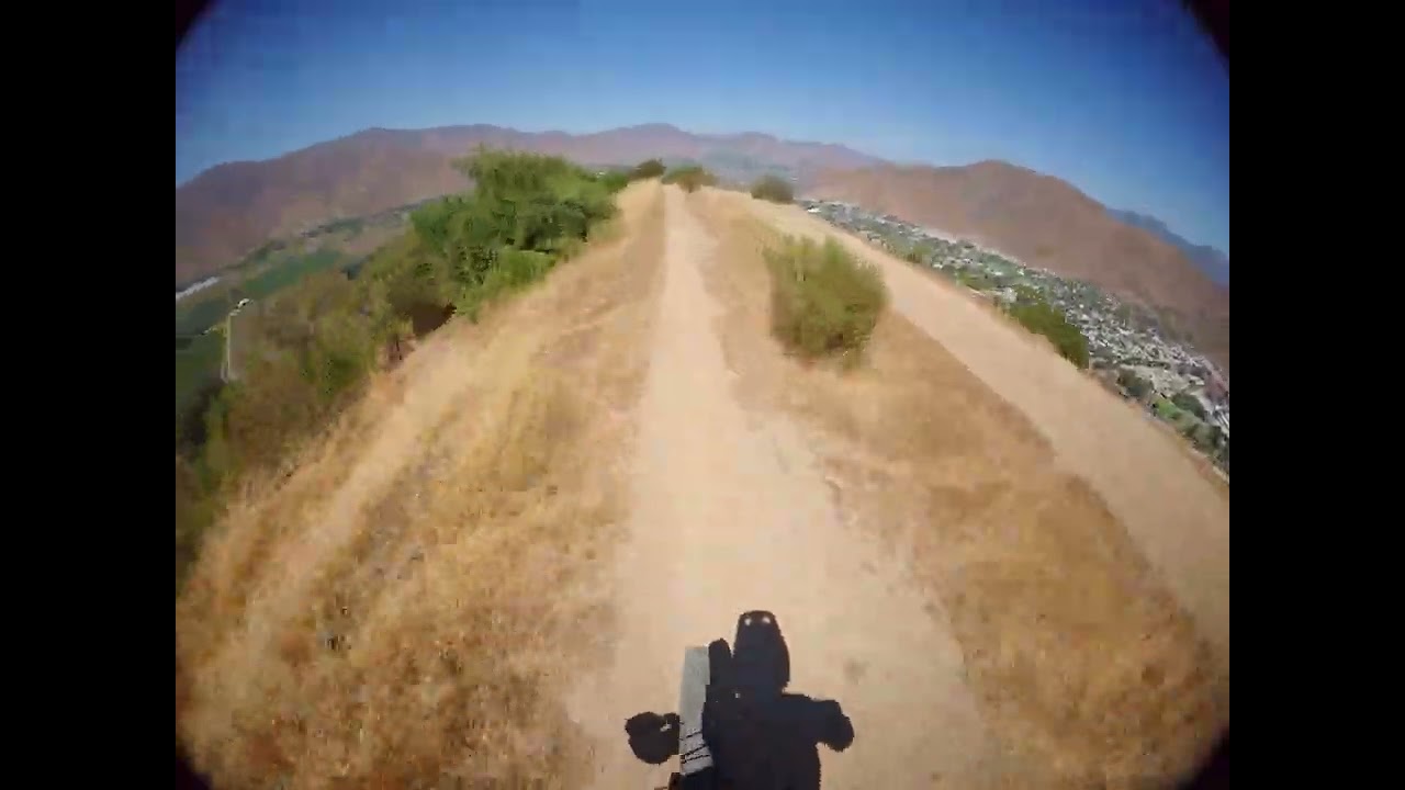 Bajada Covid-Line