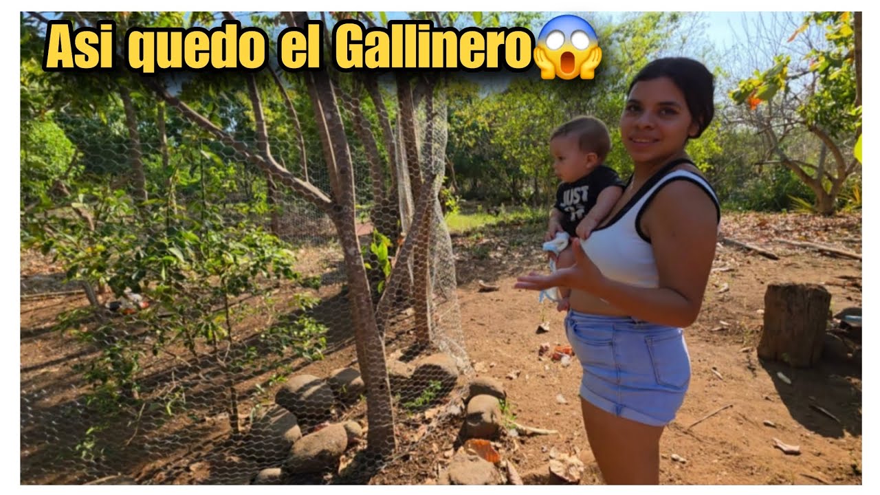Joelito nos vino hacer el gallinero junto a los chicos de TioDennis😱Miren que bonito quedo😊