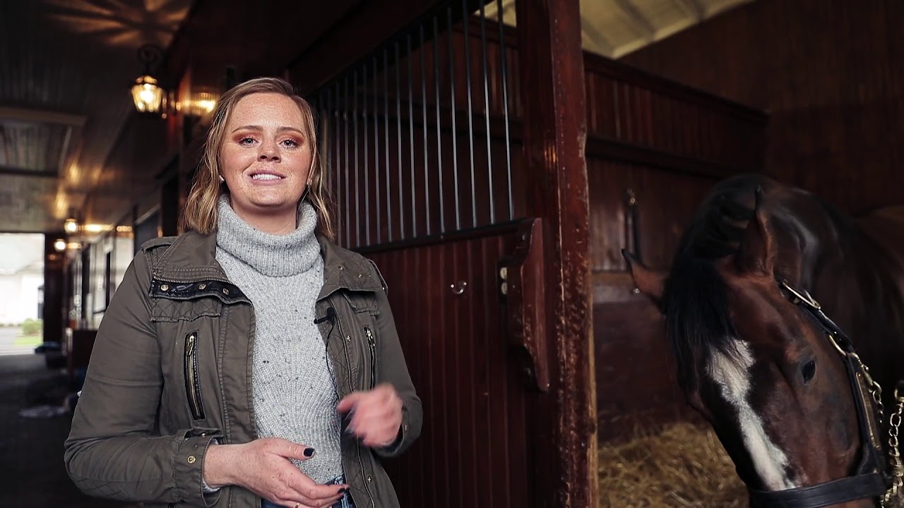 Virtual Tour Our Historic Stallion Barn