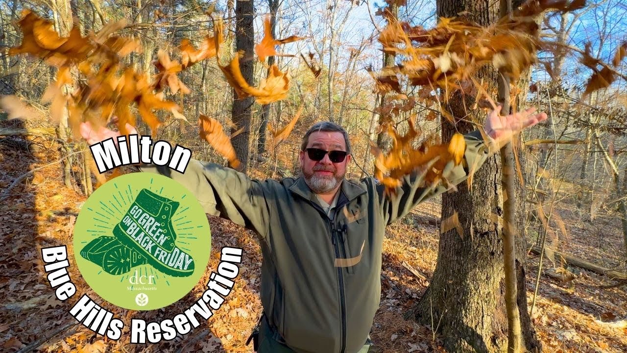 Blue Hills Reservation | Go Green on Black Friday Hikes 2024