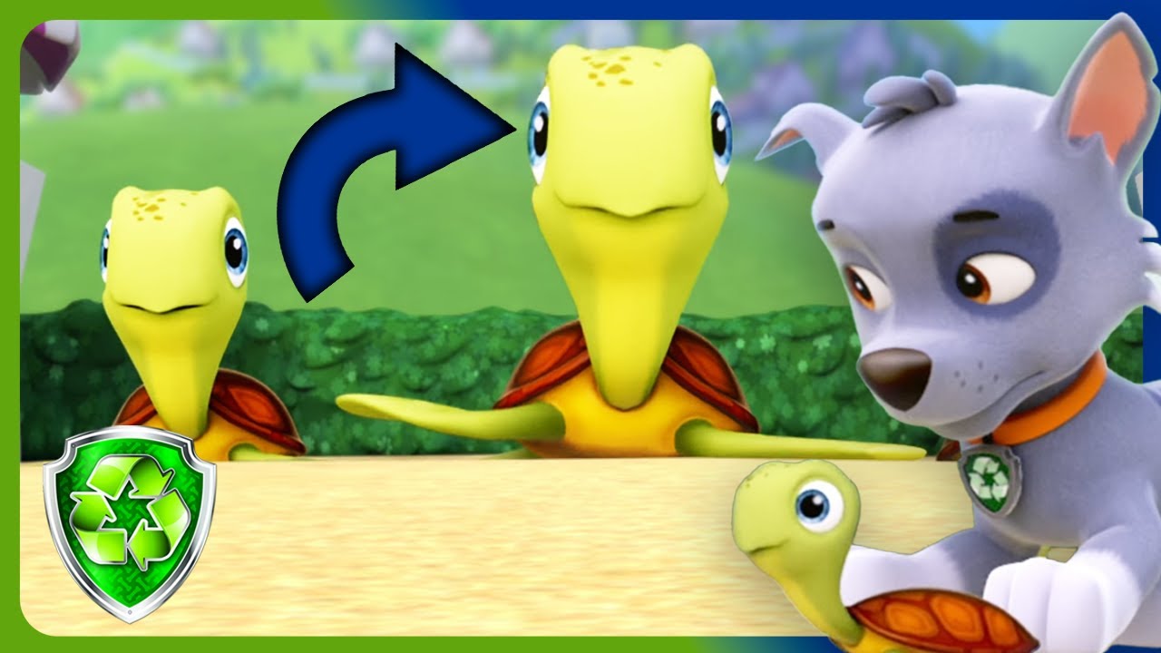 Pups Save The Sea Turtles | Rocky - PAW Patrol & Friends | Sea Turtle Hatchlings | Cartoons for Kids