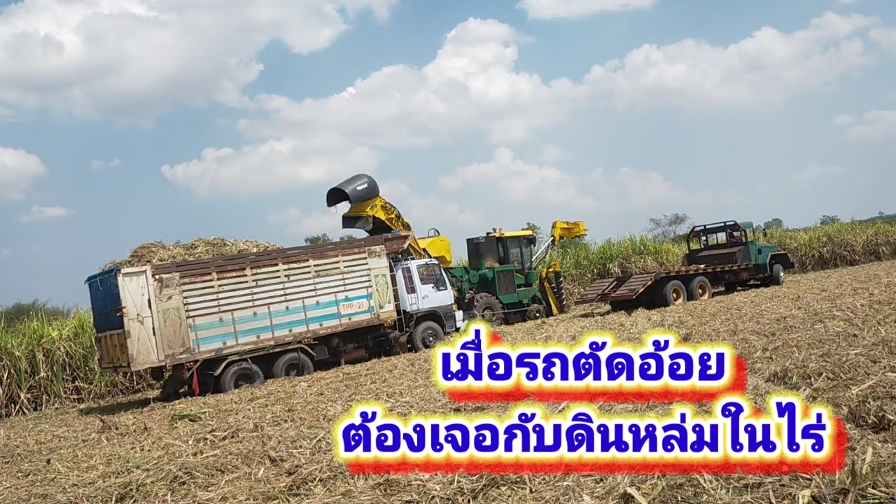 เมื่อรถตัดอ้อยต้องเจอกับดินหล่มในไร่ EP 66/69