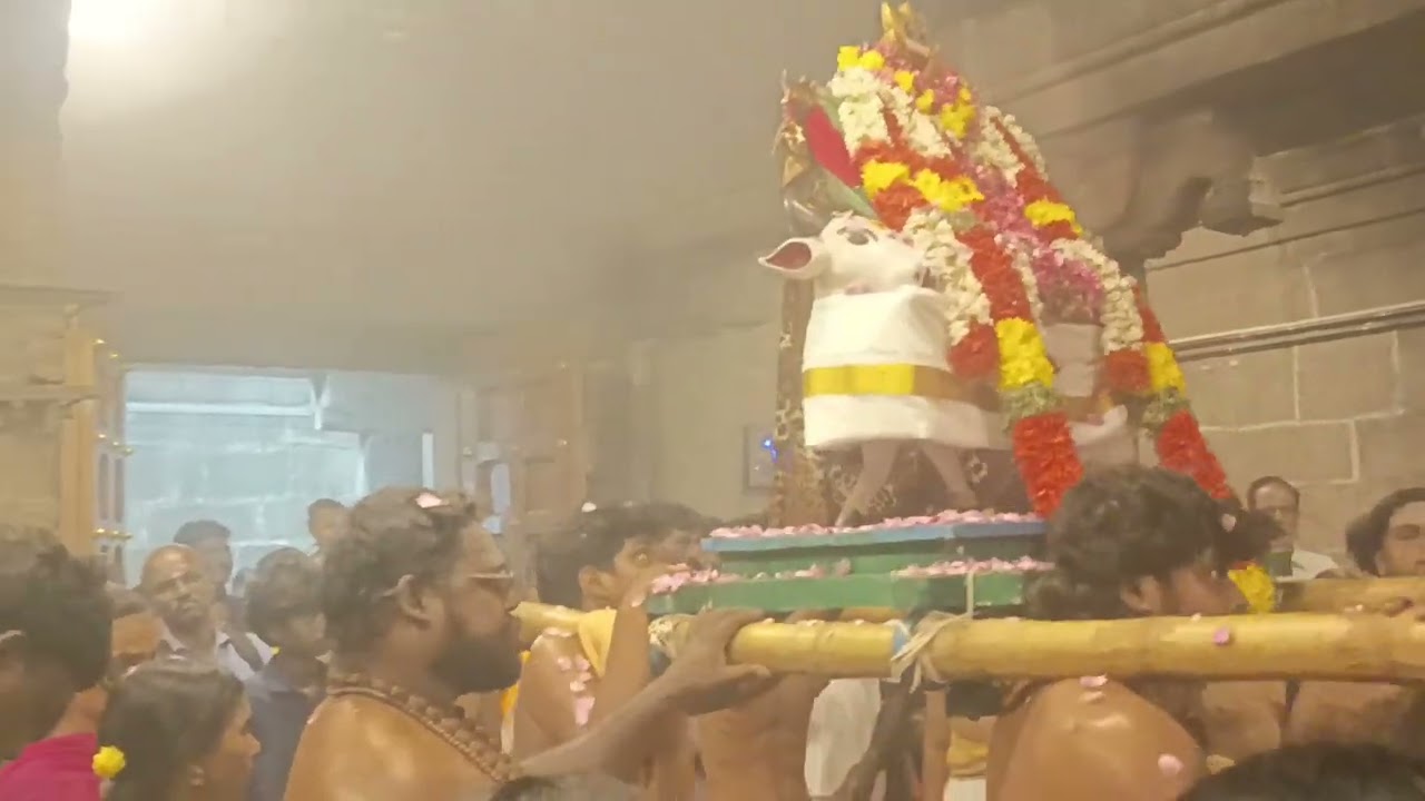 என்ன ஒரு ஆனந்த நடனம் 🙏🙏🙏🙏