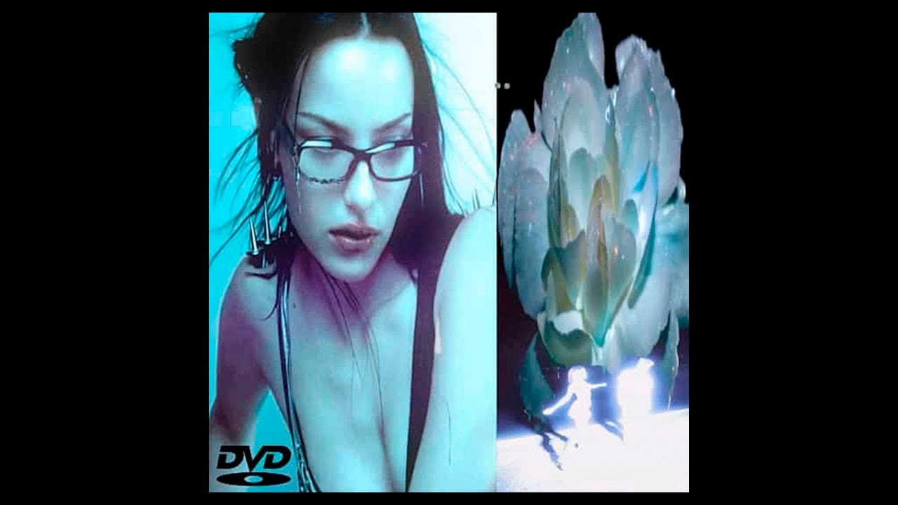 [FREE] Jerk Type Beat x Hoodtrap Type Beat x Xaviersobased - 