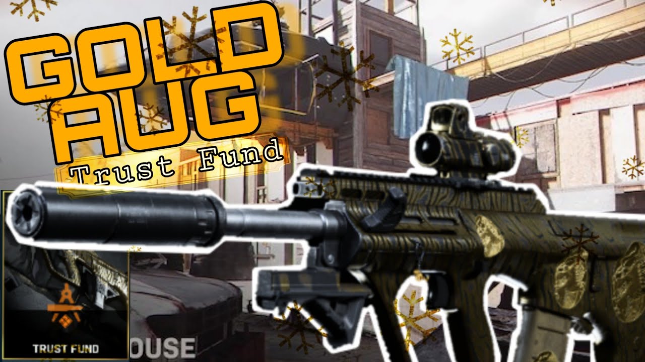 IT LOOKS SO PRETTY! (AUG TRUST FUND BLUEPRINT GAMEPLAY!) - Call of Duty: Modern Warfare