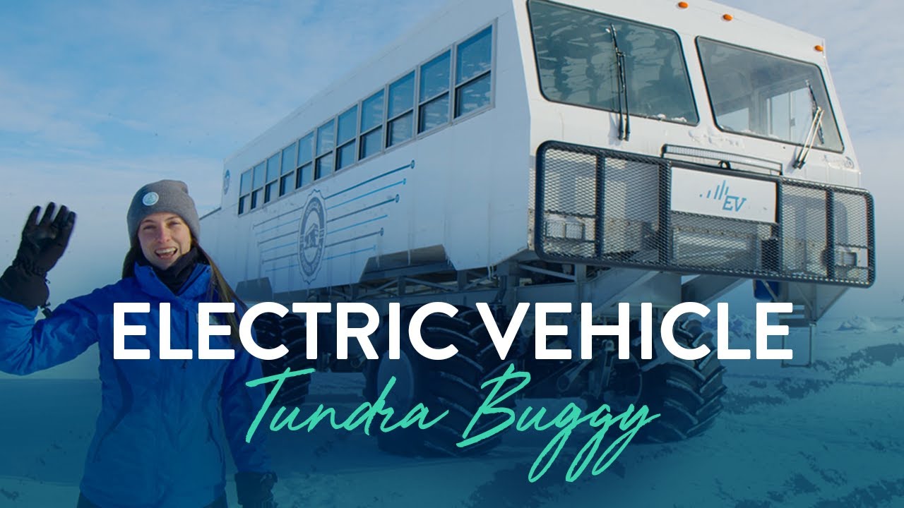 Get To Know The Electric Vehicle Tundra Buggy®