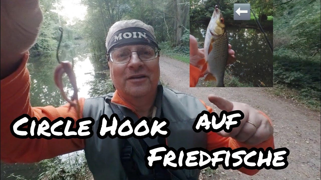 Mit CIRCLE HOOK auf große FRIEDFISCHE