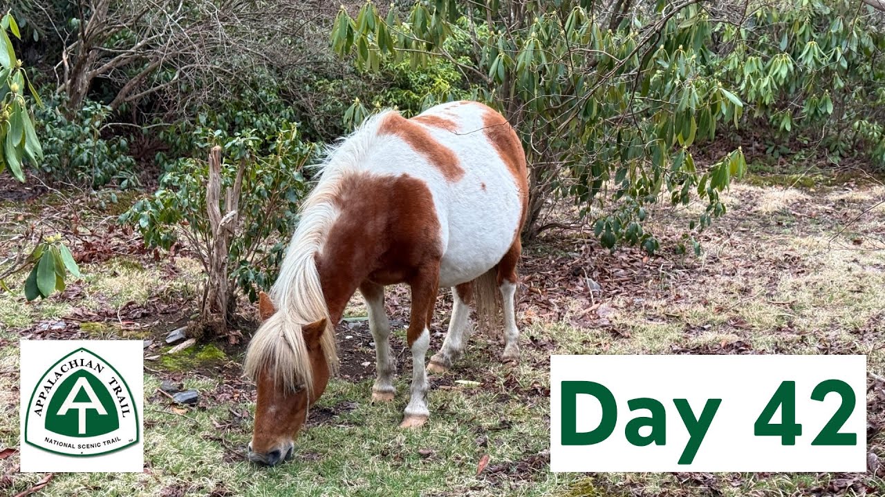 AT Thru Hike Day 42 - Another 20 mile day AND Fresh Ground