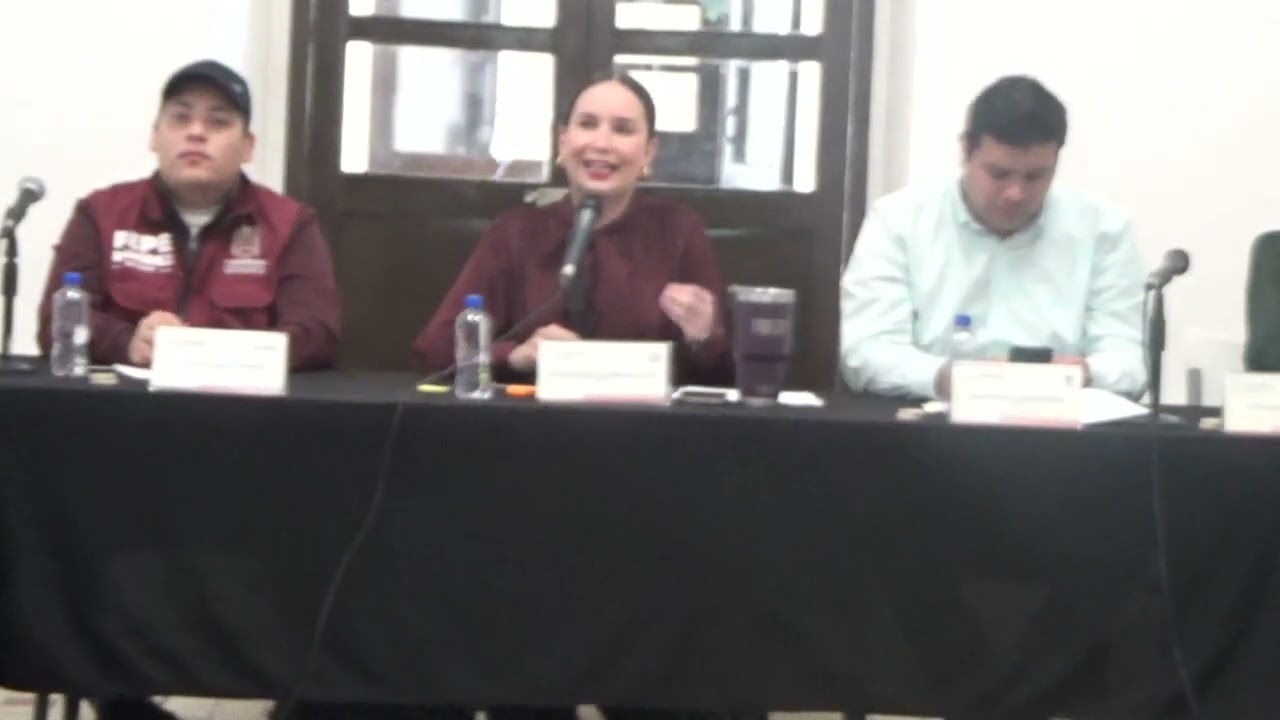SESION ORDINARIA DE LA COMISION EDILICIA DE TURISMO, EDUCACION Y DEFENSA DE NIÑAS    23 ENERO 2025