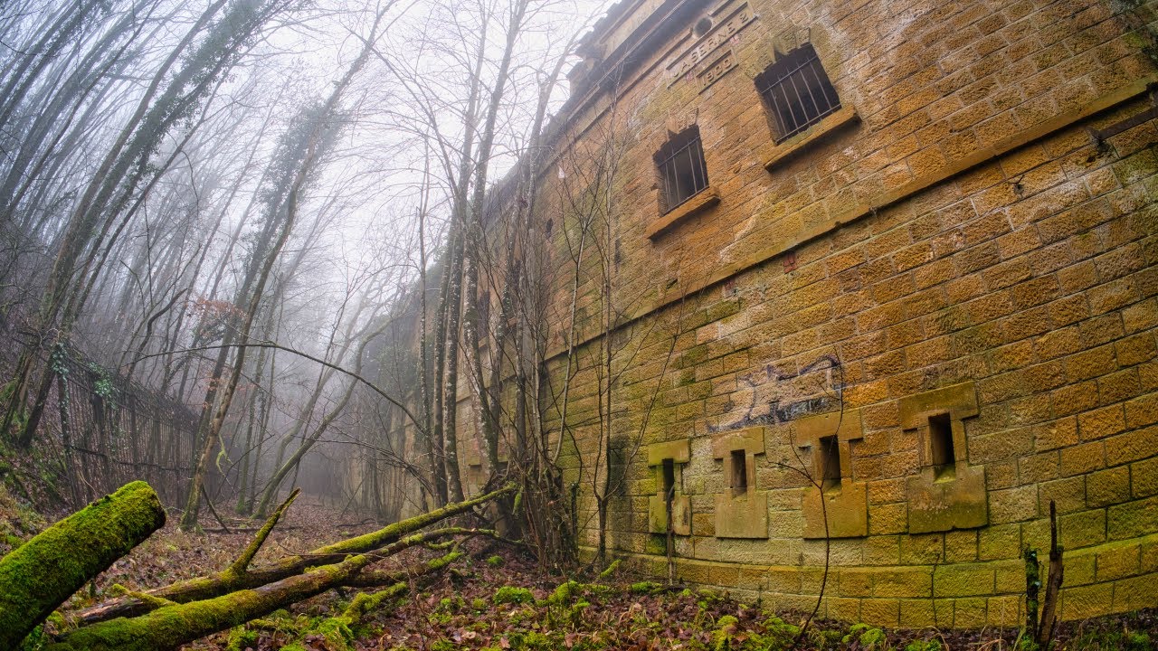 Golden Stones in the Lorraine Fog