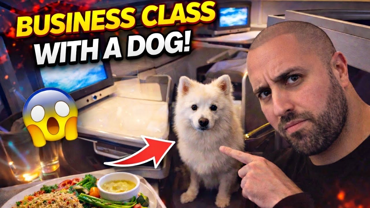 China Southern Business Class…With a Dog 🐕💺