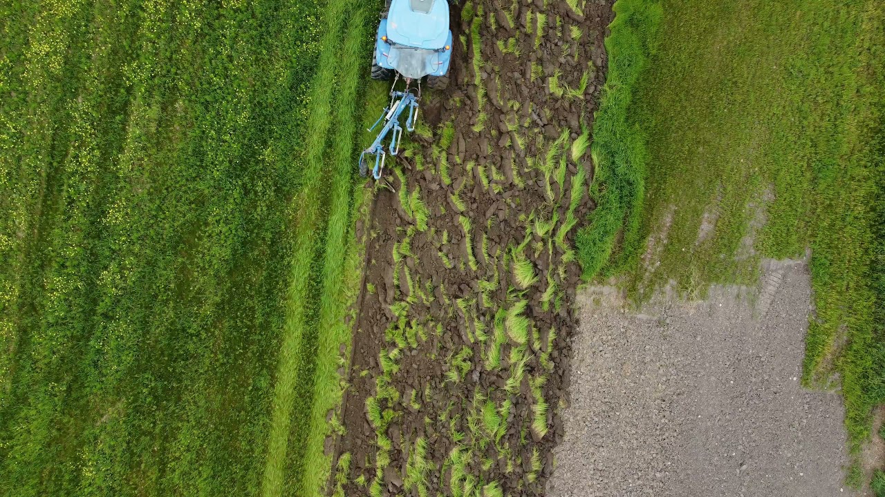 Plowing with New Holland TS115A