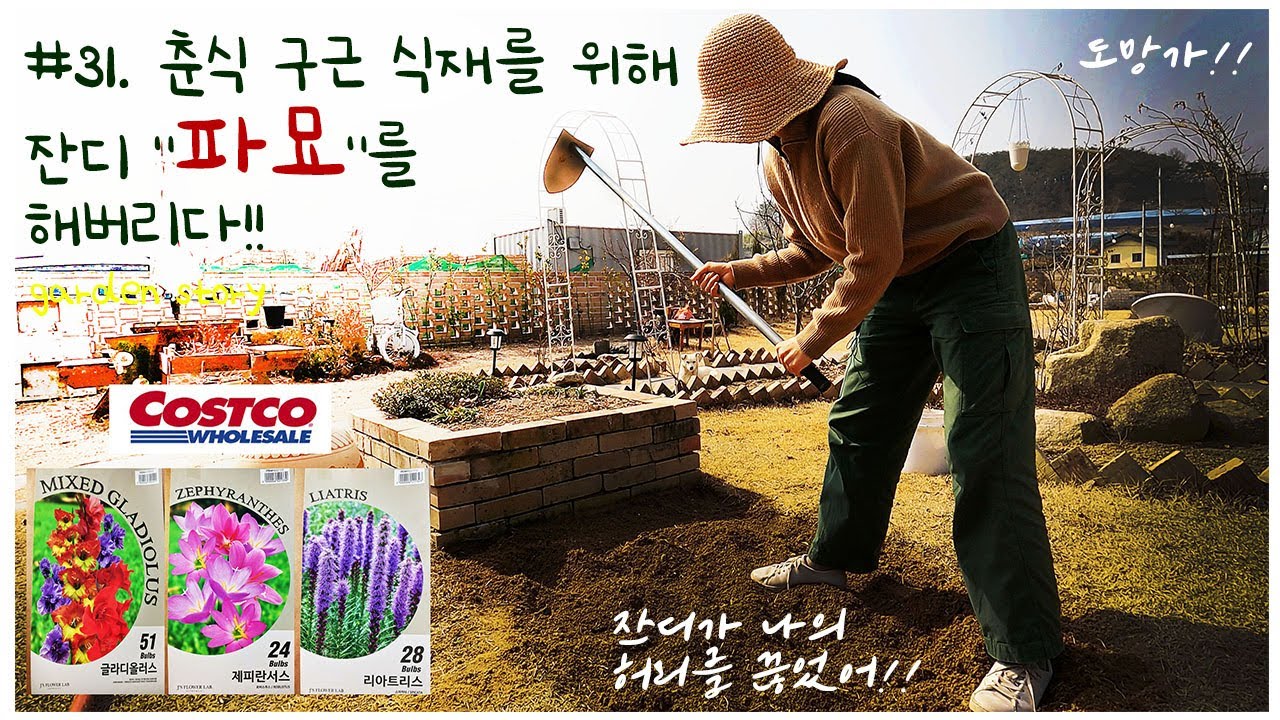 #31. 춘식구근 식재ㅣ코스트코 정원용품ㅣ글라디올러스 화단만들기ㅣ잔디엣지 사용법ㅣ화분 리폼 ㅣspring bulbs