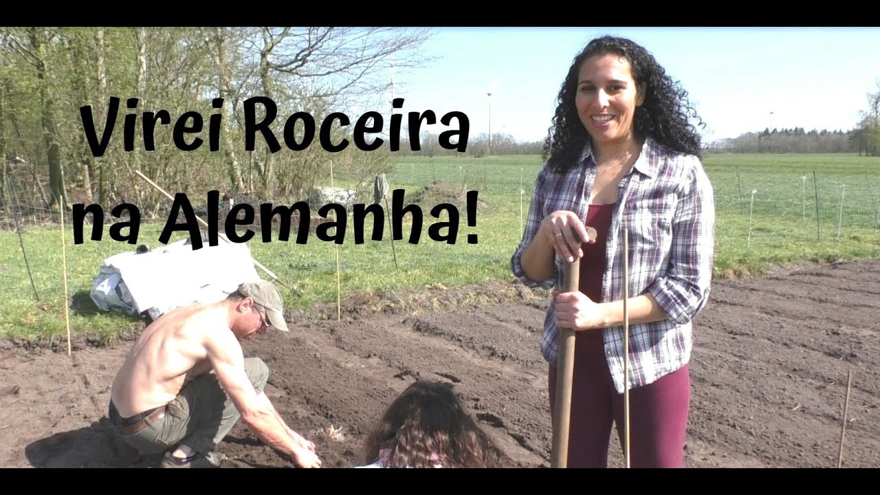 Vida na fazenda (Alemanha) Plantando Batatas