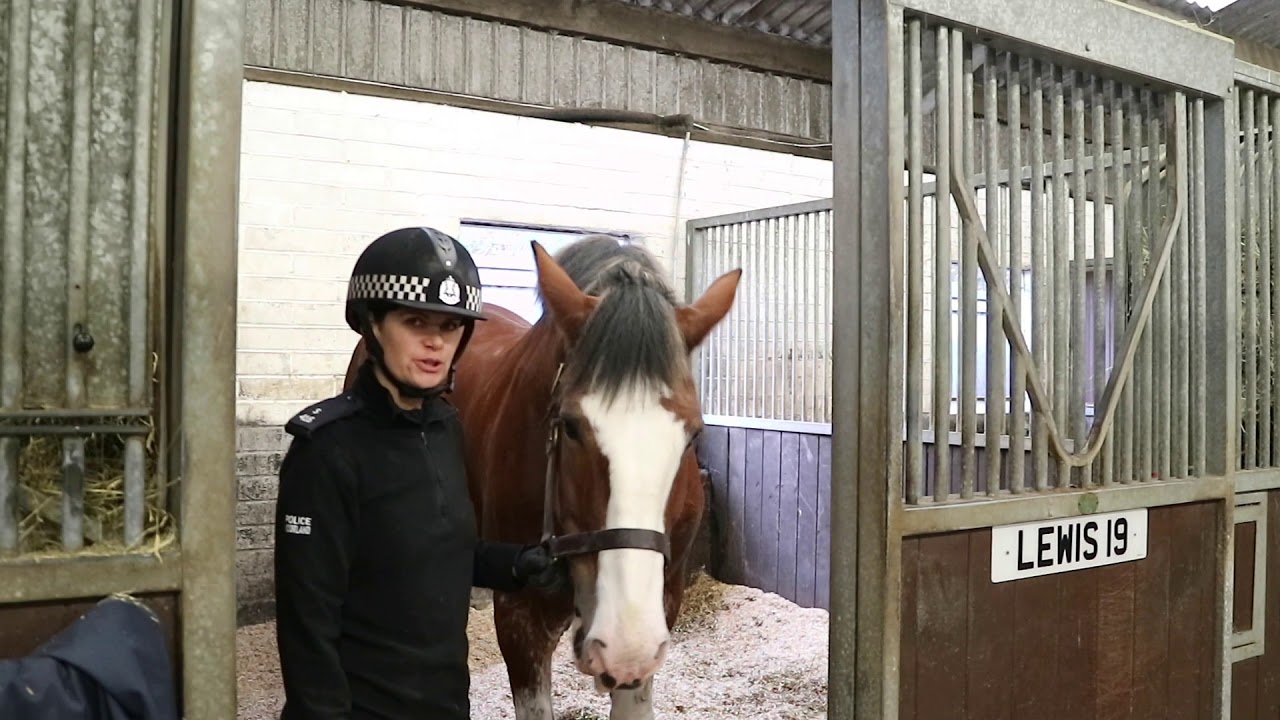 Mounted Unit video