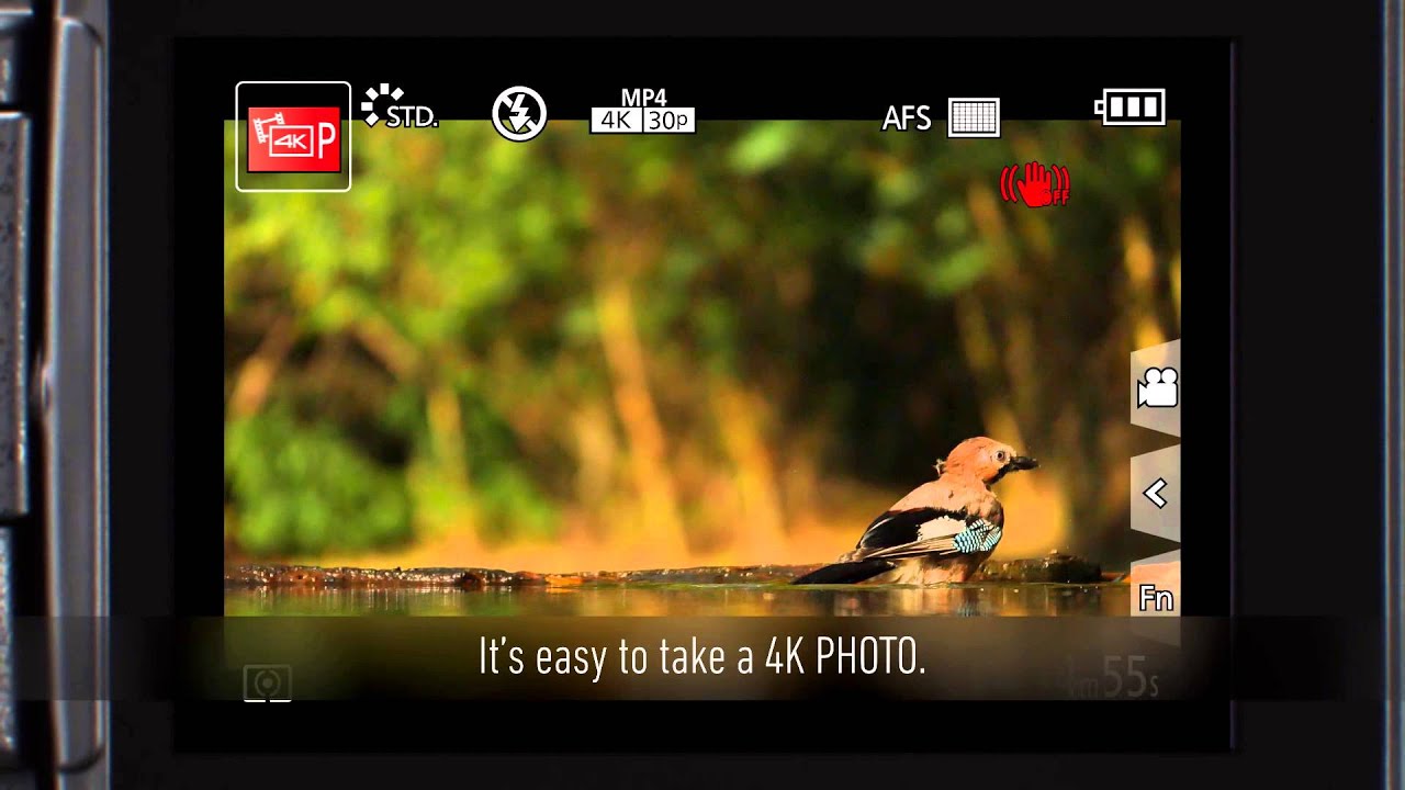 LUMIX&rsquo;s 4K Photo Technology