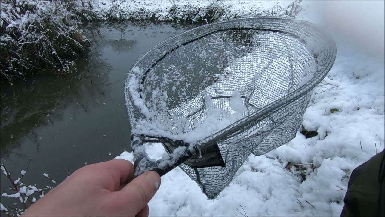 Winter fishing a small river - Chub and Perch