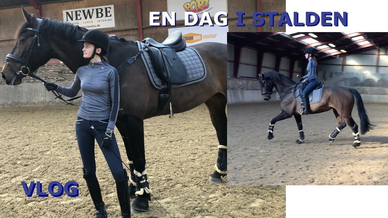 DRESSURTRÆNING MED NICA
