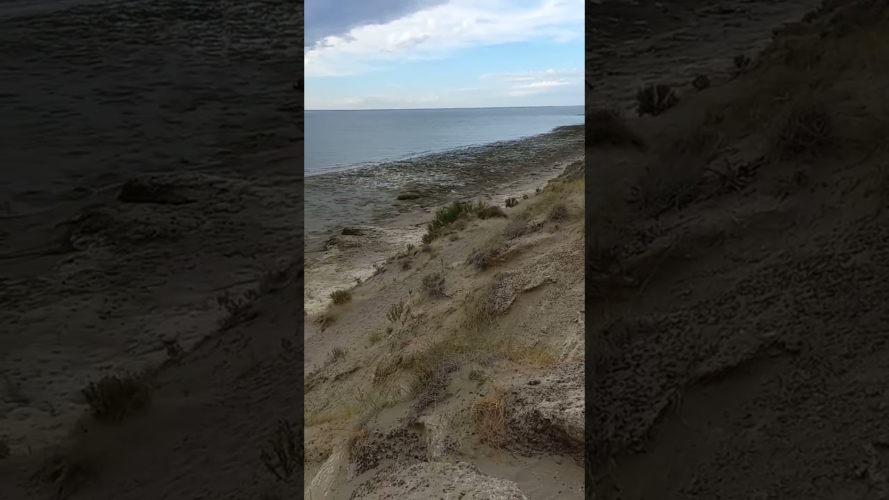 puerto madryn acampe libre albedr&iacute;o!?