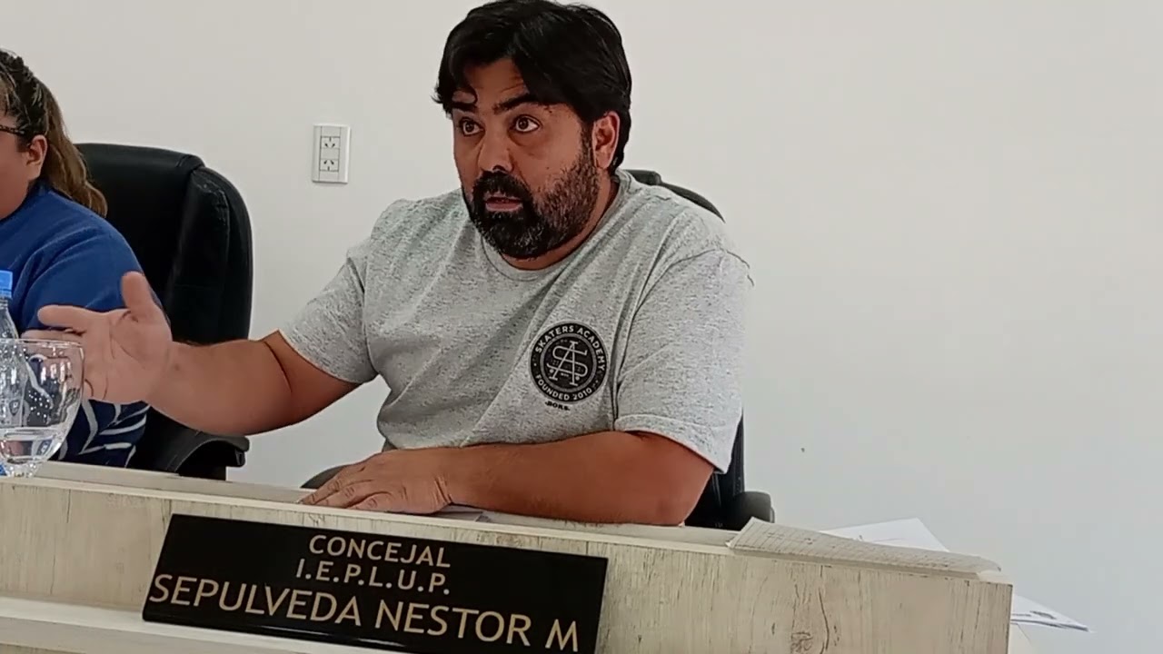 Honorable Concejo Deliberante de Rincon de los Sauces