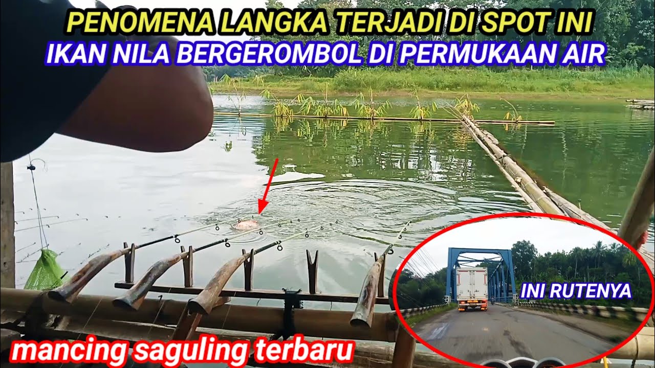 PENOMENA DI SPOT MANCING IKAN BERGEROMBOL MUNCUL KE PERMUKAAN || MANCING SAGULING TERBARU 2026