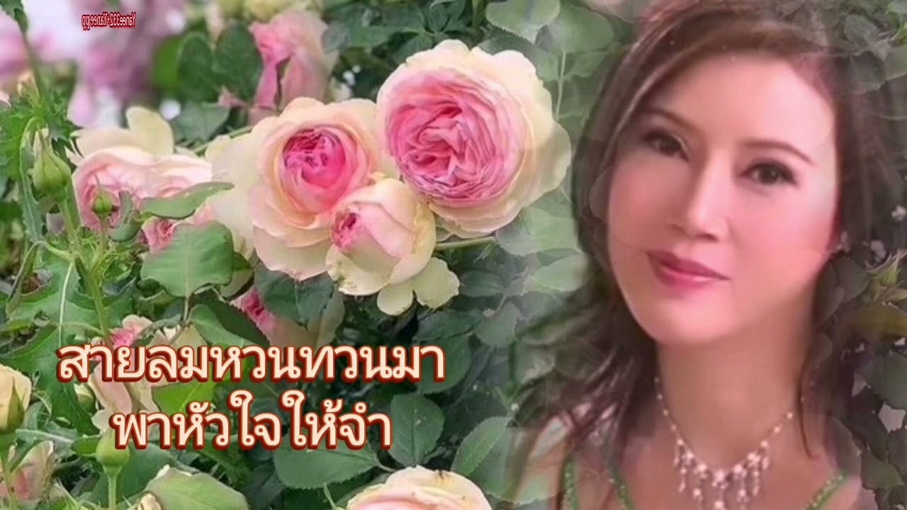 กุหลาบร่วง-อรวี-สัจจานนท์