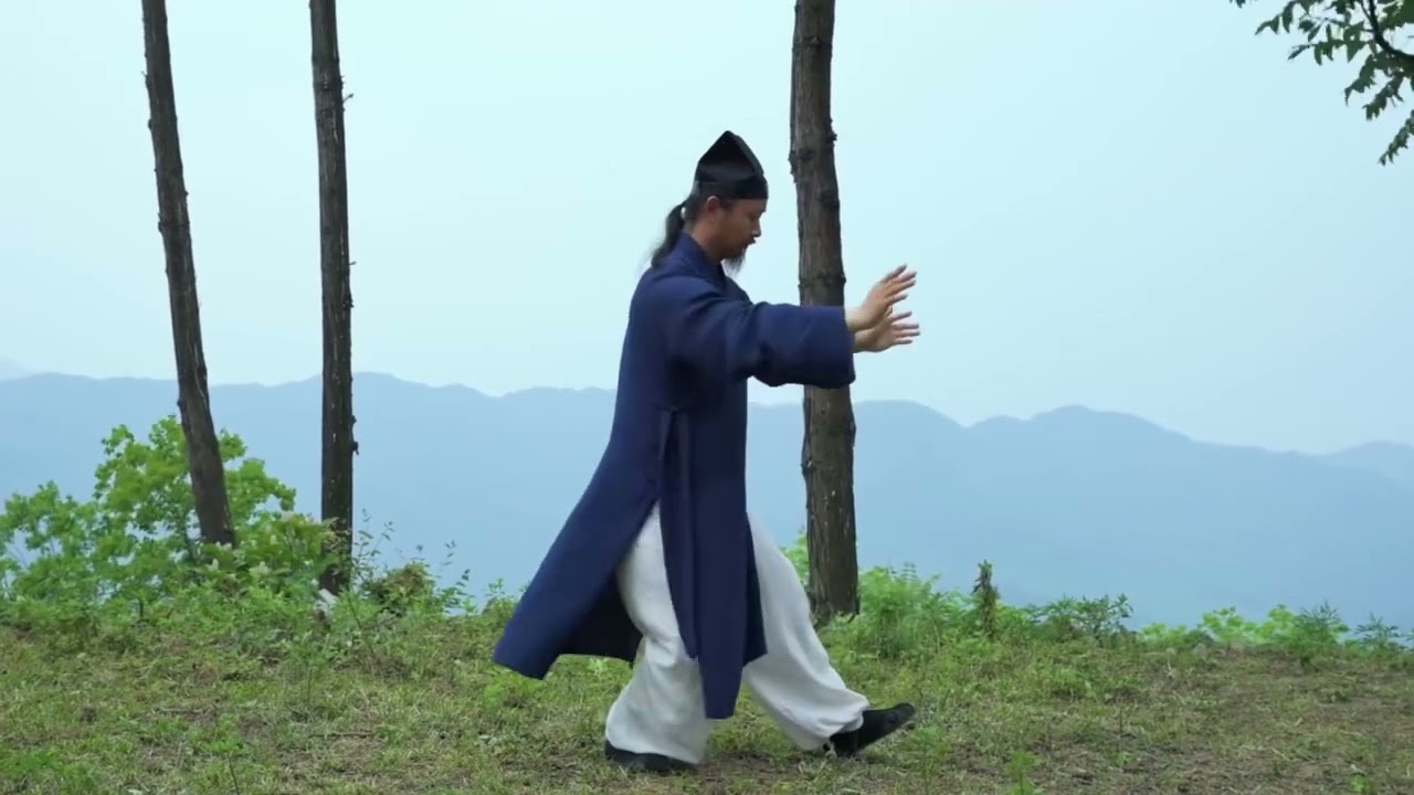 武當太極十三勢。陳師行道長