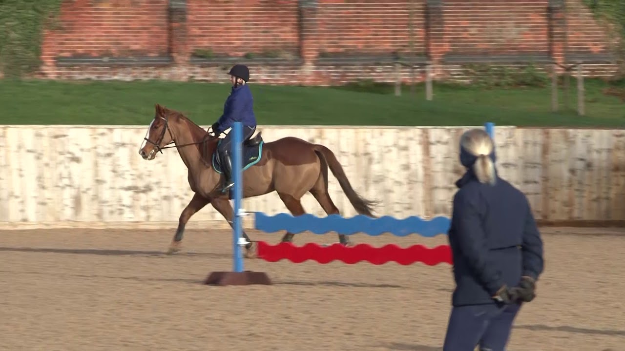 British Showjumping - Training for those returning to Affiliated competition Part 1