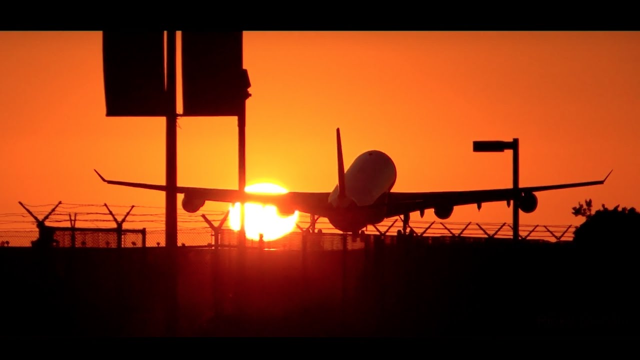 BEAUTIFUL Heavy Sunset Landings at LAX Airport