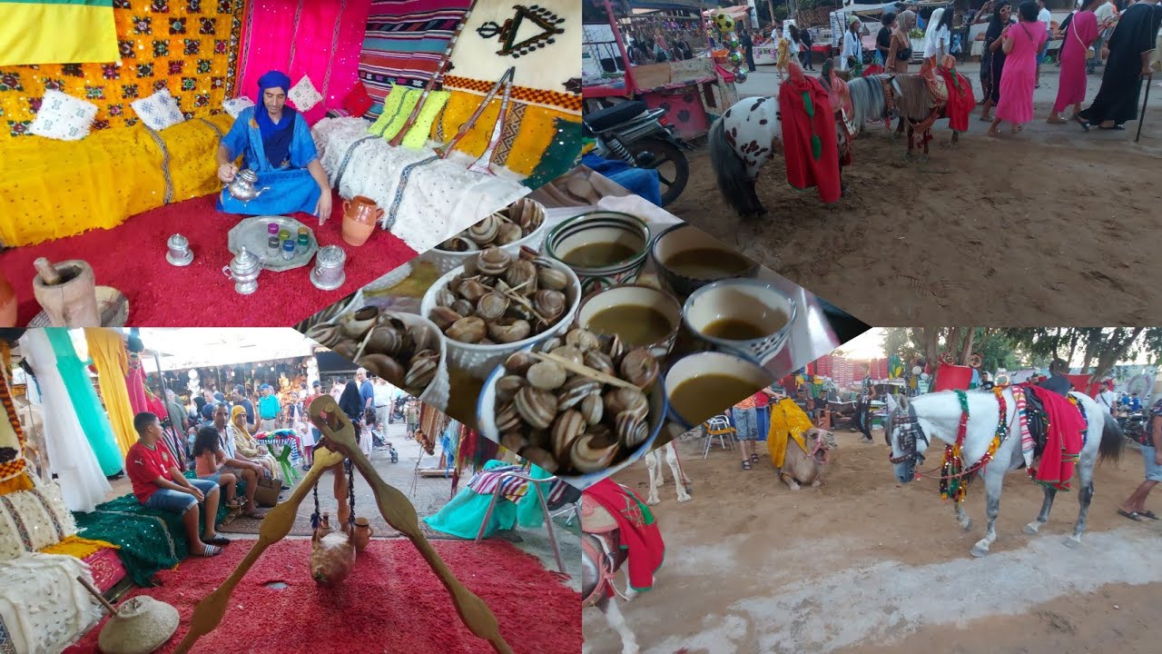 جول حول عين الركادة فزوان السياحية بتقاليدها العصرية🐪🏺🏕