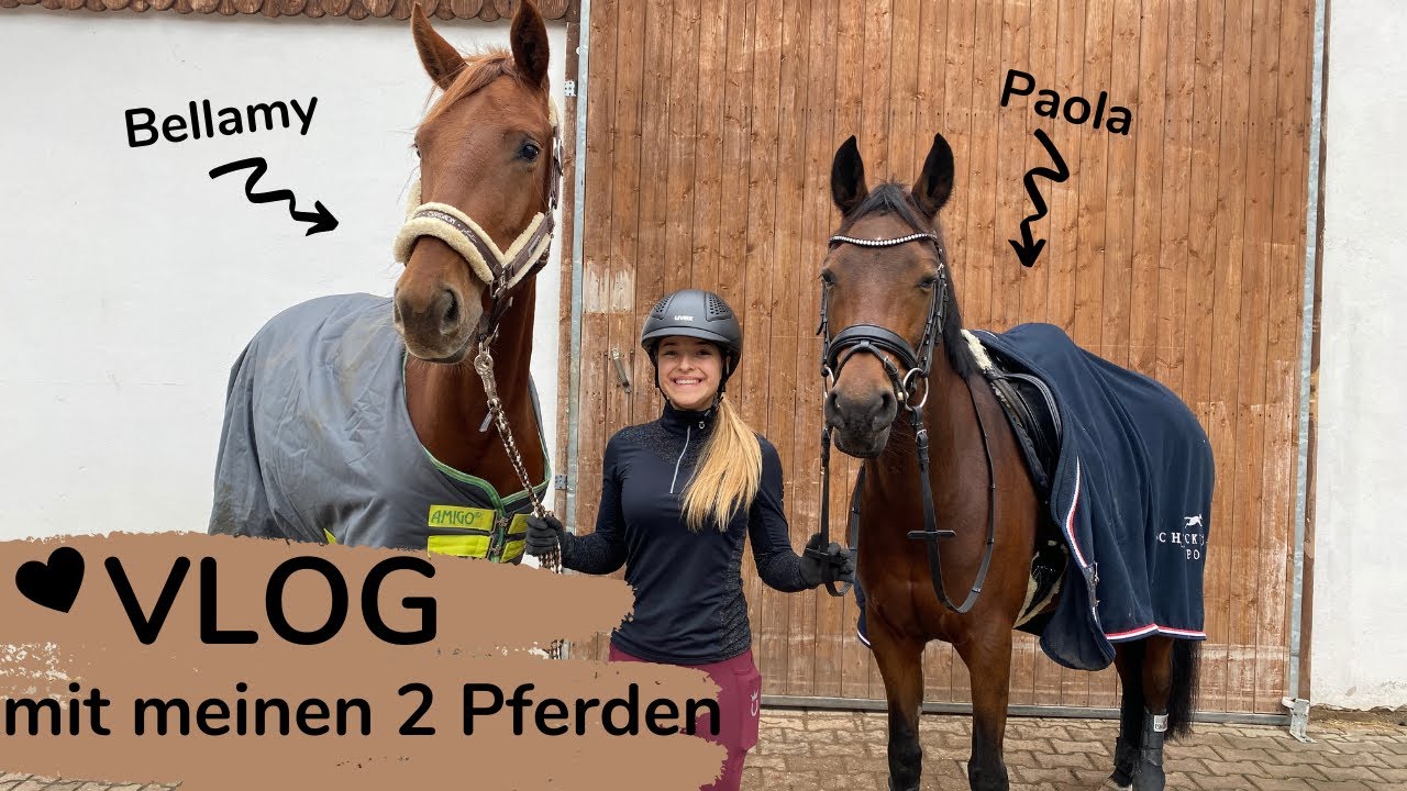 Rainy Saturday VLOG 🐴 ☔ | Marina und die Ponys