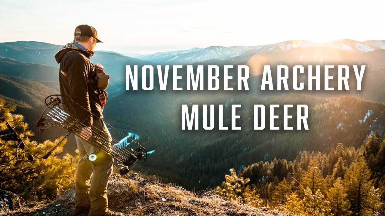 Hunting Mule Deer in November with my Bow!