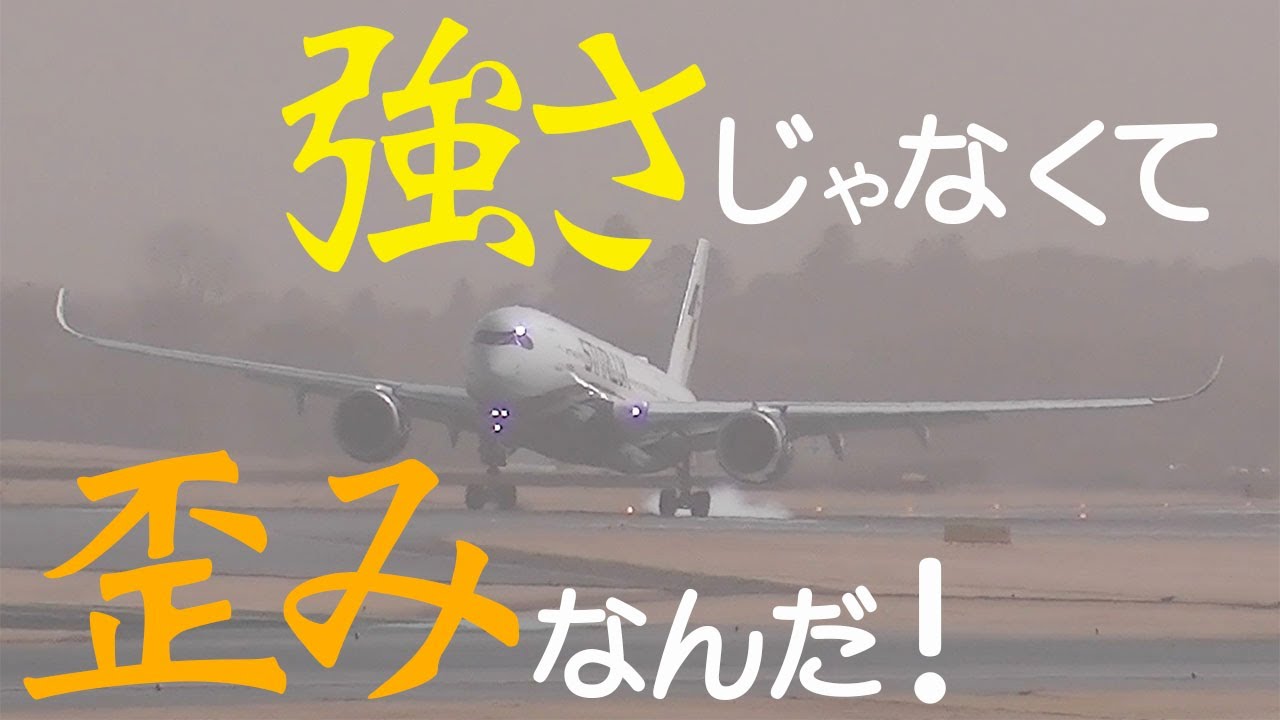 【成田空港】横風じゃなければ大丈夫なの？強烈な北風に見舞われた成田で、格闘を続ける着陸機たちの雄姿を追った！