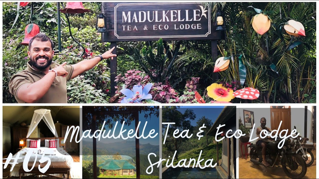 Madulkelle Tea & Eco Lodge | Best Honeymoon Hotels in SriLanka | Kandy Hotels | #srilankahotels 