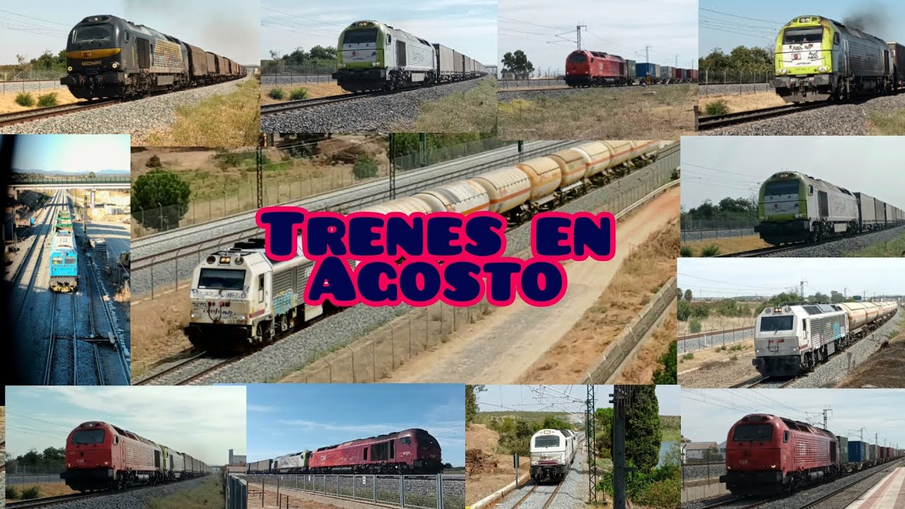 Trenes en Agosto por Montijo y alrededores