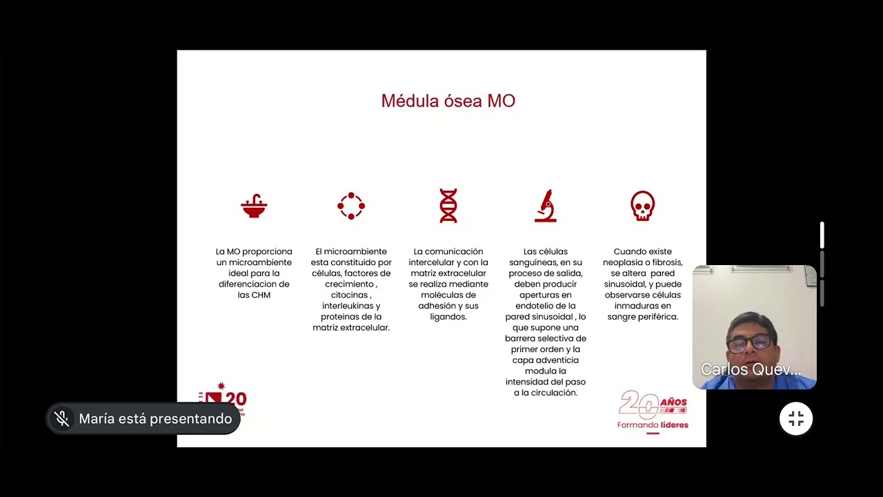PRIMERA CLASE HEMATOLOGIA 