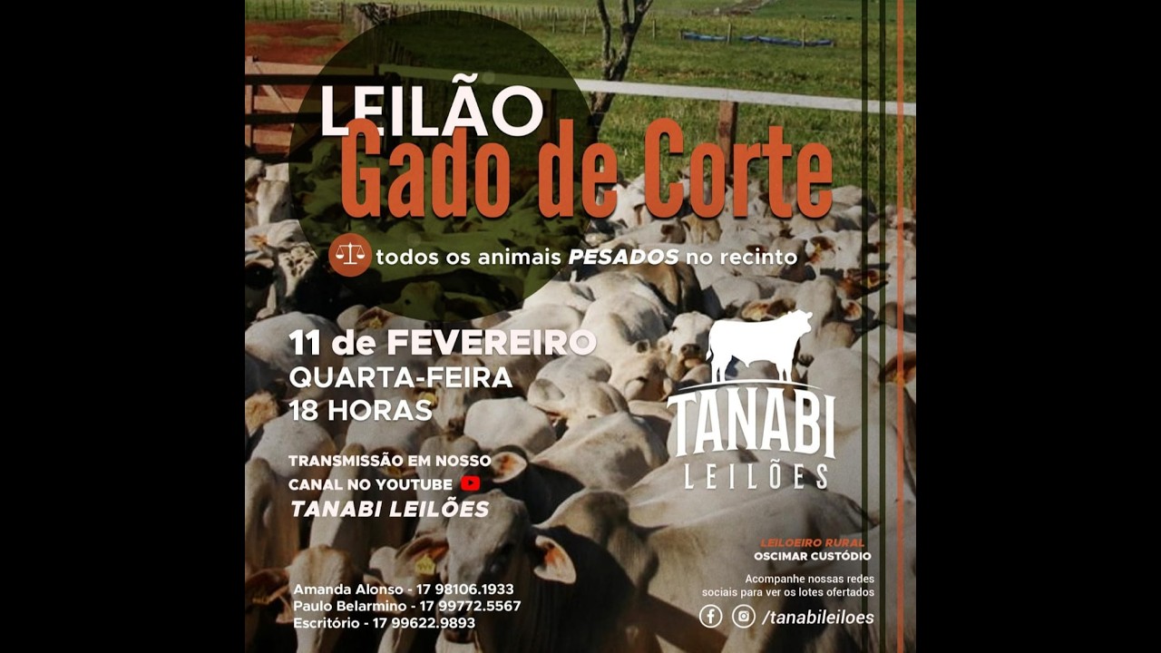 Tanabi Leilões - AO VIVO - 11/02/2026