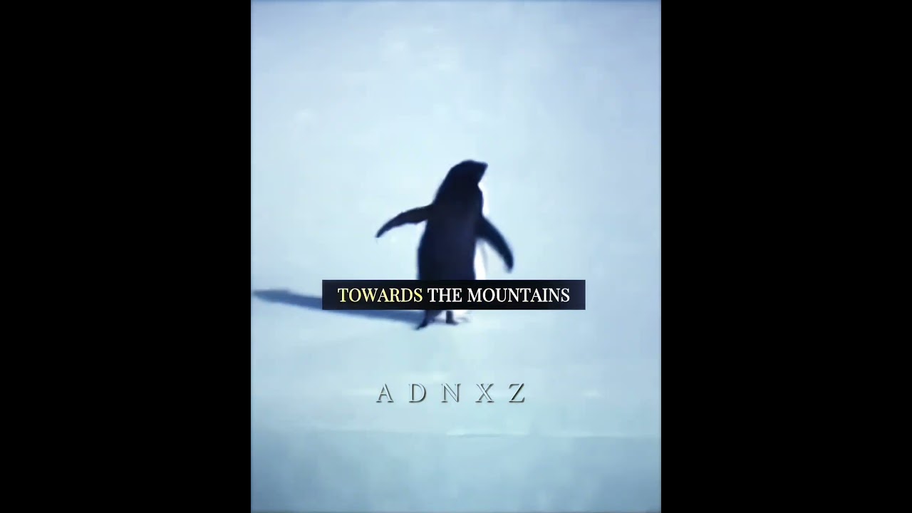 NIHILIST PENGUIN X THE CLIMBER ❤️ MANGA EDIT 「MANGA EDIT」