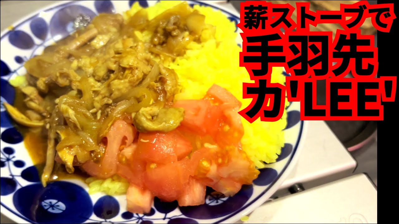 【キャンプめし】手羽先のカ'LEE'【薪ストーブでカレー】