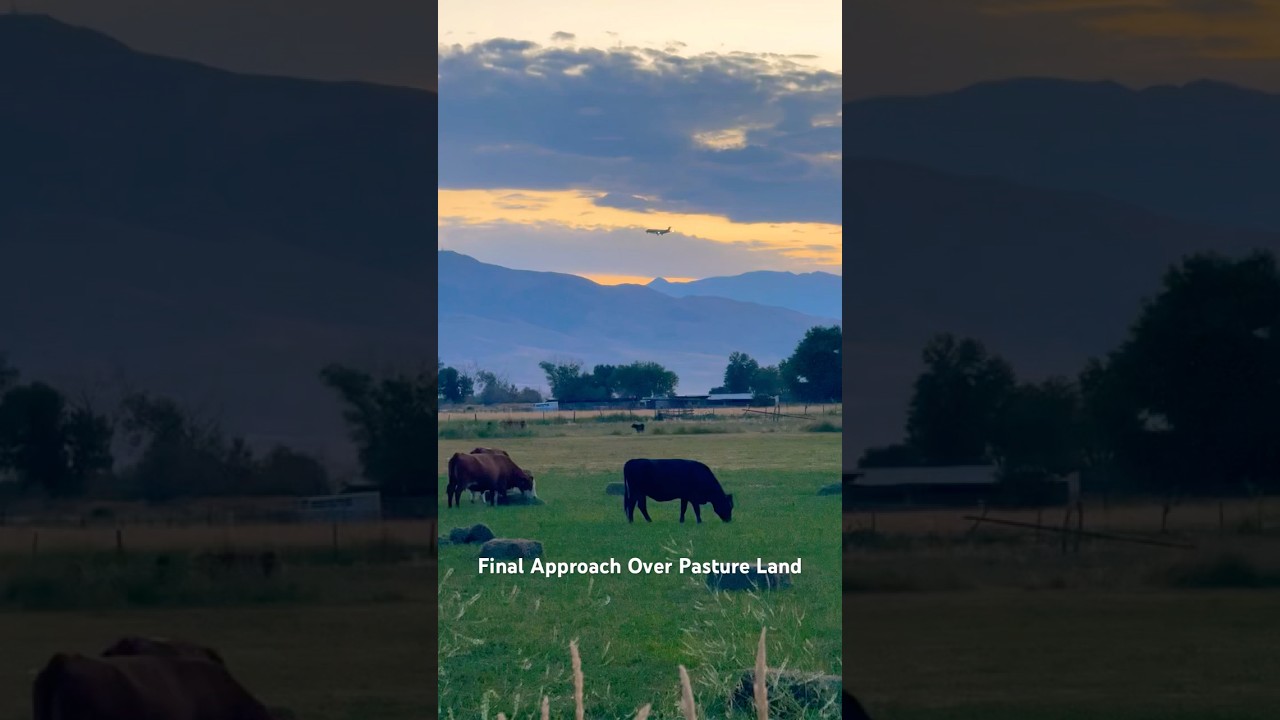 Final Approach Over Pastureland &ndash; Provo, Utah