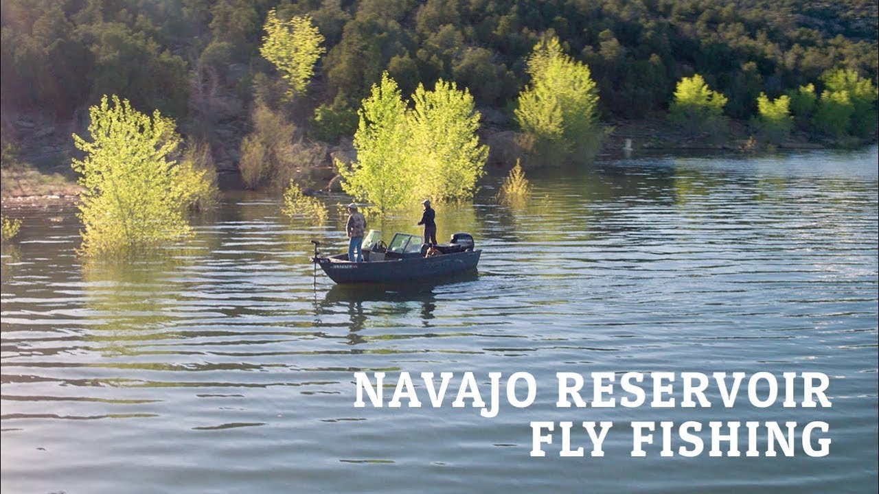 Navajo Reservoir Fly Fishing